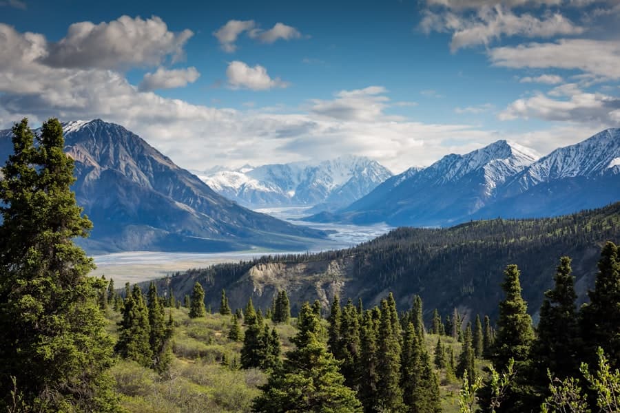 Climate Change & Sustainability