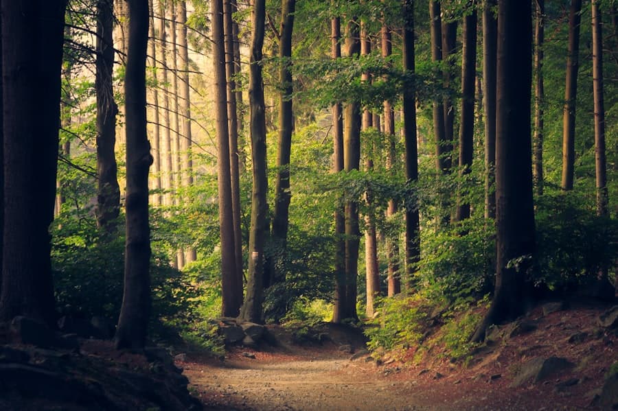 Environmental & Social Advisory Services